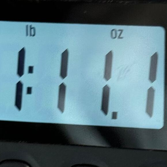 Rabbit Rabbit Rabbit Designs Womens Dress Size 6 Navy Fit and Flare - Picture 12 of 13